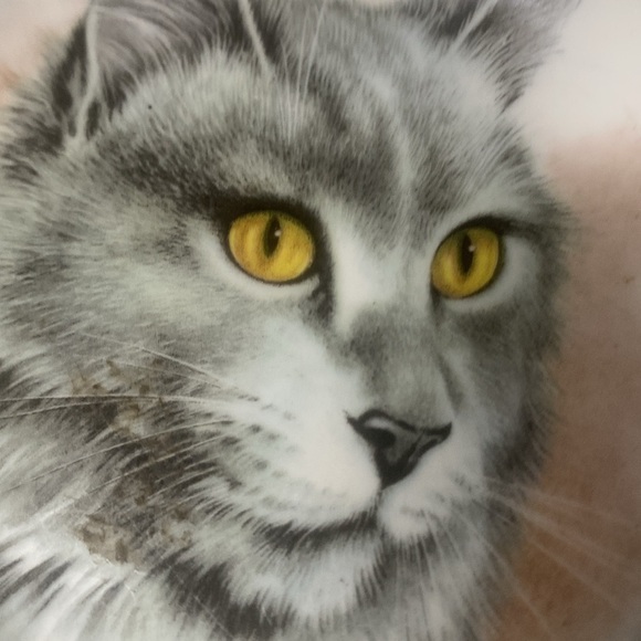 Vintage Fenton Persian Kitten Cat Plate English Bone China Trinket Gold Rim - Picture 4 of 9